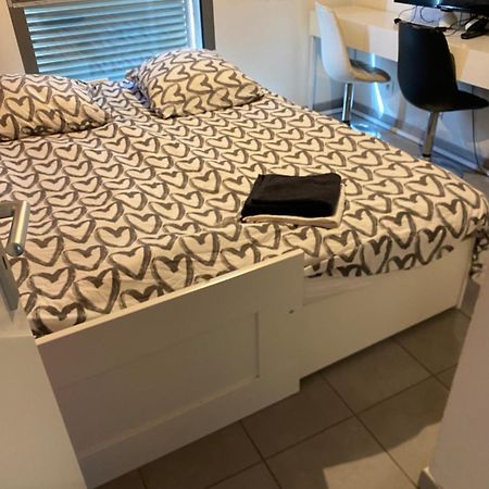 Superbe Appartement Avec Terrasse Toulouse Luaran gambar